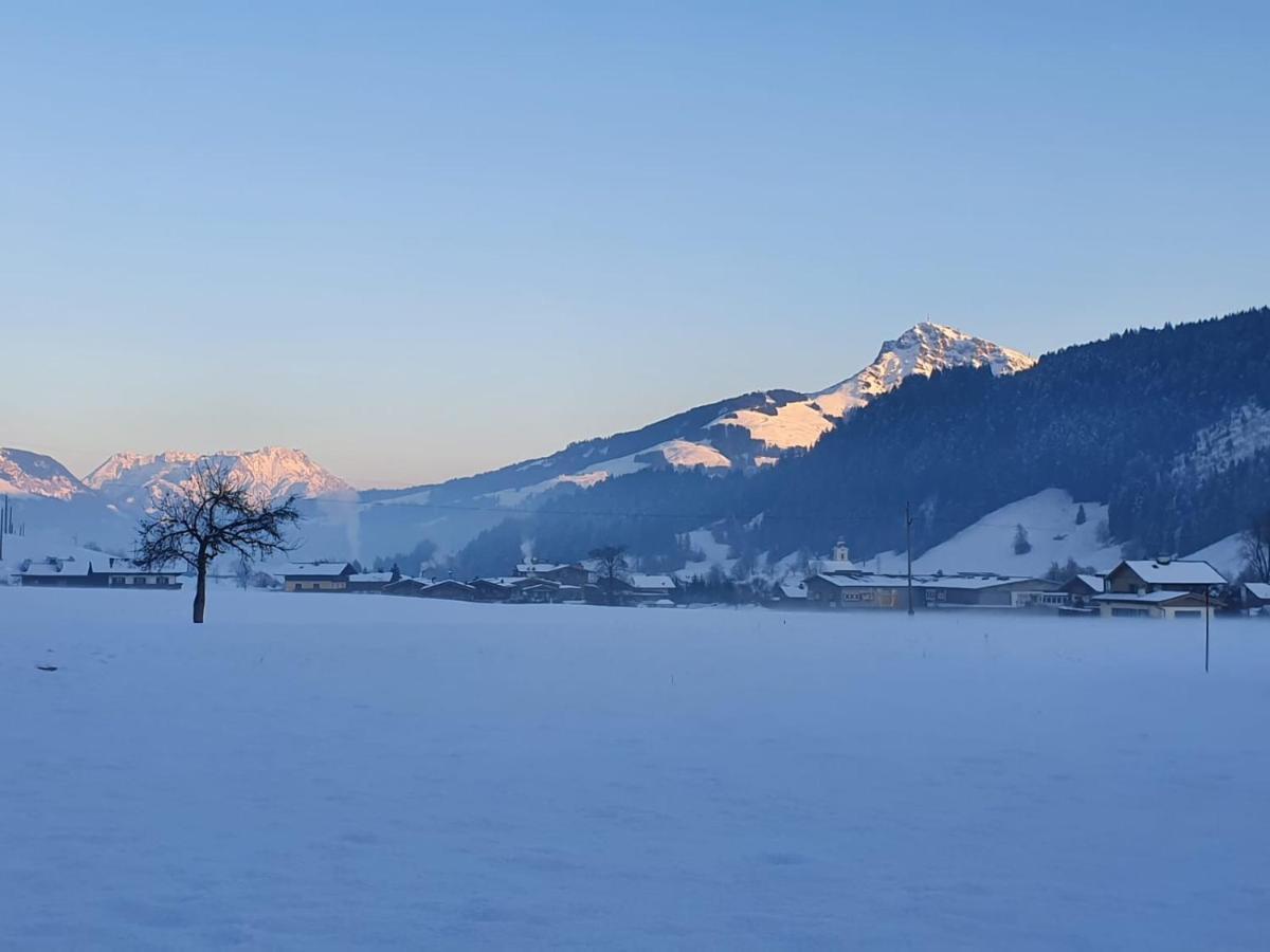 شقة Haus Strobler Going am Wilden Kaiser المظهر الخارجي الصورة